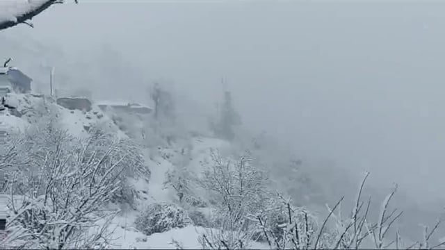 उत्तराखंड के माणा गांव में ग्लेशियर टूटने से बड़ा हादसा हो गया#axident