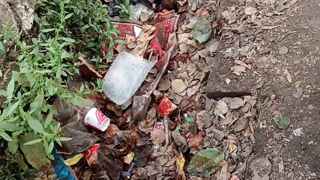 Barabanki ke gram pakriyapur mein nahin a Raha hai Kai hafton se Safai karmi gandi padi nali