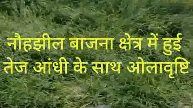 बिन मौसम बरसात व अति ओला वृष्टि ने किसानों पर बरपाया कहर