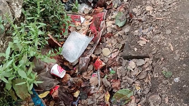 Barabanki ke gram pakriyapur mein nahin a Raha hai Kai hafton se Safai karmi gandi padi nali