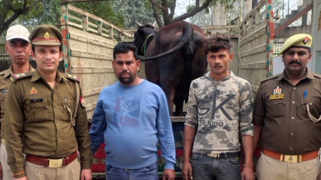 कानपुर की बर्रा पुलिस ने दो मवेशी चोरों को गिरफ्तार किया, एक गोवंश-लोडर बरामद 