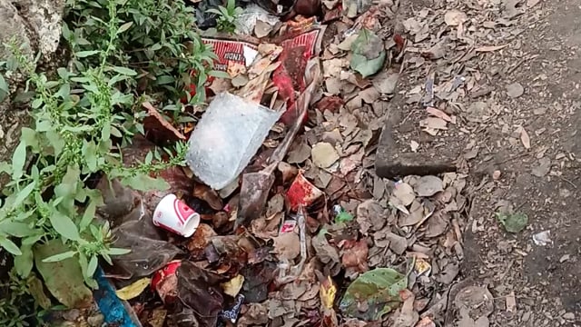 Barabanki ke gram pakriyapur mein nahin a Raha hai Kai hafton se Safai karmi gandi padi nali