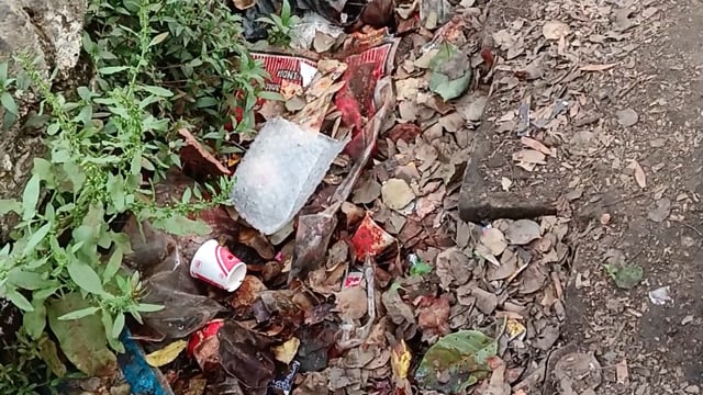 Barabanki ke gram pakriyapur mein nahin a Raha hai Kai hafton se Safai karmi gandi padi nali