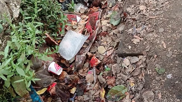 Barabanki ke gram pakriyapur mein nahin a Raha hai Kai hafton se Safai karmi gandi padi nali