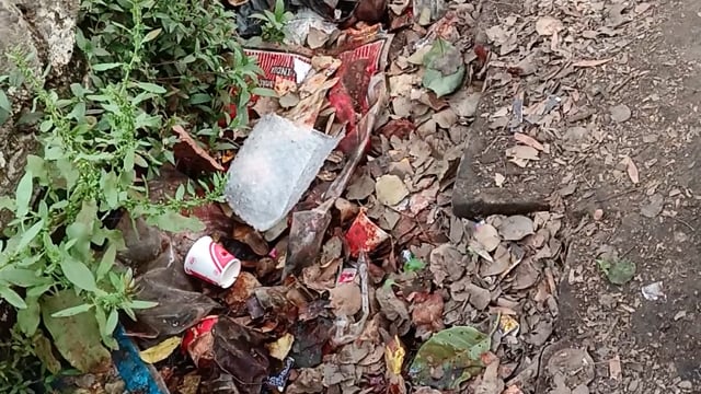 Barabanki ke gram pakriyapur mein nahin a Raha hai Kai hafton se Safai karmi gandi padi nali