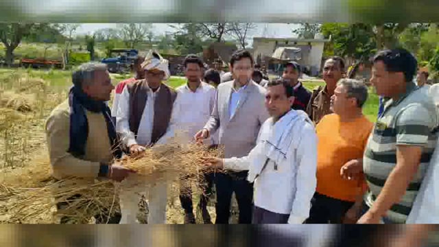 आंधी तूफान व अति ओलावृष्टि को लेकर फसलों का निरीक्षण करने पहुंचे उप जिला अधिकारी माट ने माना की 100%फसले नष्ट हुई है सरकार की मन्शानुसार मुआवजा दिलवाया जायेगा