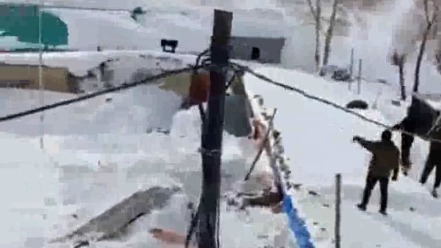 Avalanche in Kaza, Spiti on March 1, 2025, no damage to ITBP camp #axident