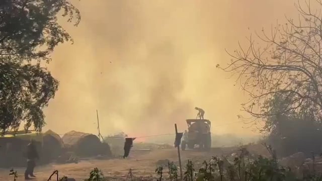 Fire breaks out again in dumping yard of Sector 32, Noida 
#fair