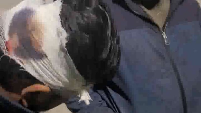 पलिया में दो दर्जन लोगों ने चार युवकों पर किया जानलेवा हमला, तीन गम्भीर