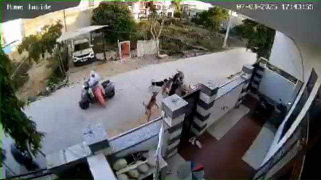 A pack of dogs attacked a girl in Alwar's JK Nagar Colony, video captured on CCTV 

राजस्थान के अलवर जिले के जेके नगर कॉलोनी में एक चौंकाने वाली घटना सामने आई, जब कुत्तों के एक झुंड ने एक युवती पर हमला कर दिया। घटना का वीडियो पास के CCTV कैमरे में कैद हो गया, जिसमें युवती कुत्तों से बचने के लिए चिल्लाती हुई दिखाई दी।
#politics