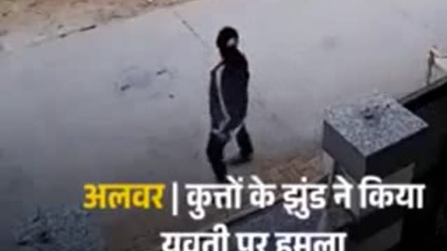 #viralvideo
राजस्थान के अलवर जिले की JK नगर कॉलोनी में 8 कुत्तों के झुंड ने युवती पर हमला कर दिया रास्ते से जा रही रही महिला ने युवती की मदद की बाद में लोगों ने महिला से बदसलूकी भी की।