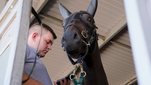 A day at the races with Mr B