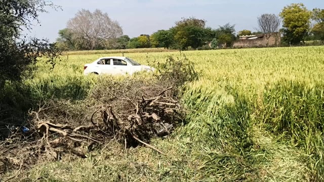 स्विफ्ट डिजायर गाड़ी का संतुलन बिगड़ने से झाड़ियों में गिरती हुई पहुंची खेत में एक युवक की मौत मामला रौन थाना अंतर्गत।।।