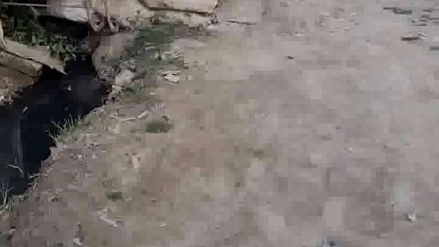 दुर्दशा पर आंसू बहाता पलिया नगर का मोहल्ला सुभाषनगर 