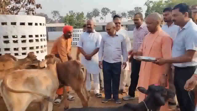गोरखपुर में होली - यूपी के सीएम योगी आदित्यनाथ ने गायों को तिलक लगाया और उन्हें चारा खिलाया 
उत्तर प्रदेश के मुख्यमंत्री योगी आदित्यनाथ गोरखनाथ मंदिर में होली समारोह में शामिल हुए #politics