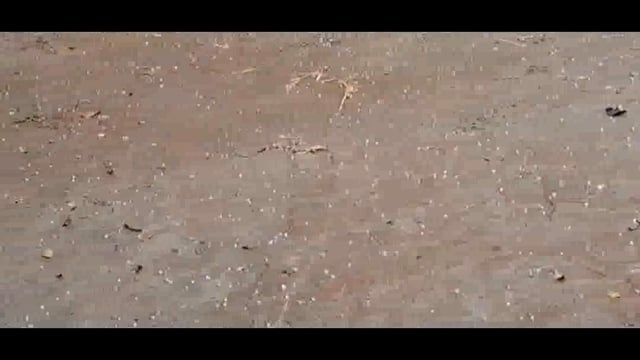 सुबेहा क्षेत्र में बेमौसम ओलावृष्टि बारिश से किसानों के चेहरे पर चिंता की लकीर , फसल नुकसान होने की आशंका 