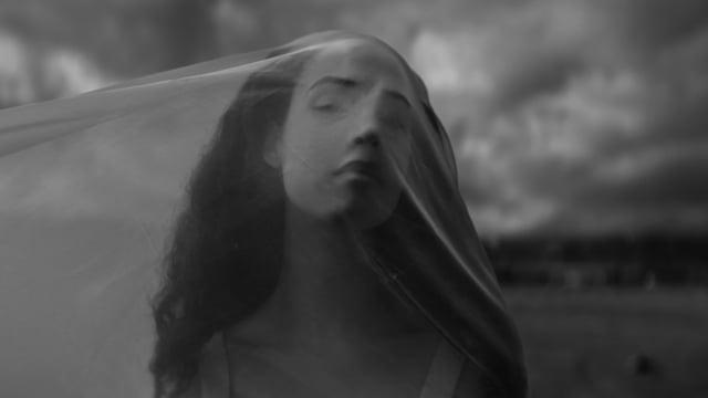 SUSPENSION — Color Grade by Black Set