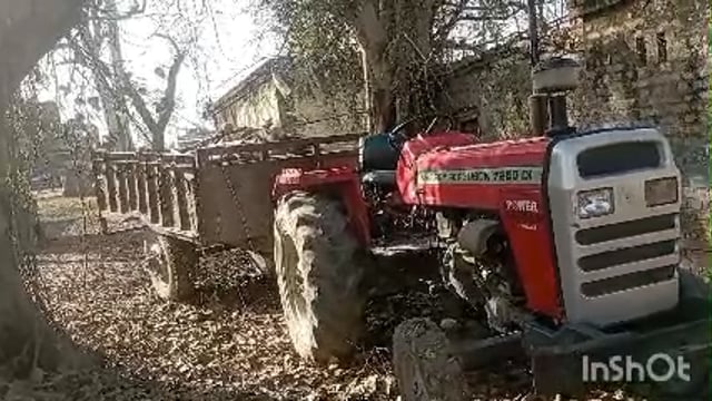  हरे सागौन लकड़ी सहित ट्रैक्टर ट्राली पुलिस की गिरफ्त में वन विभाग की टीम ने दो लोगों पर दर्ज कराया मुकदमा 