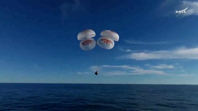 सुनीता विलियम्स समेत चार अंतरिक्ष यात्री धरती पर लौटे, स्पेसएक्स क्रू ड्रैगन की फ्लोरिडा तट पर सफल लैंडिंग #International