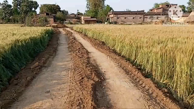 गोपालपुर गांव के ग्रामीणों के द्वारा चंदा कर किया जा रहा सड़क का निर्माण