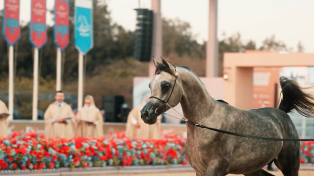 GCAT OMAN 2025
