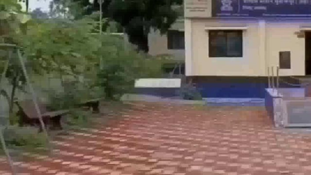 रेल्वे ट्रॅकवर अज्ञात इसमाचा मृतदेह आढळला*#accident 