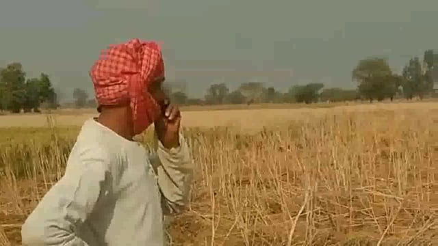 दबंगों ने जोत दी सरसों की फ़सल, पीड़ित किसान ने पुलिस से की शिकायत।