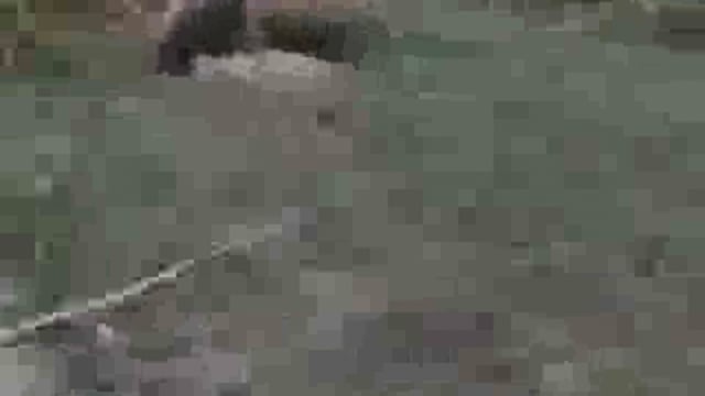 🚨 भदोही : भयंकर मारपीट में पुलिस ने NCR लिखकर लीपापोती की 
⚖ इंस्पेक्टर उंझ ने कार्रवाई के बजाए पीड़ित को धमकाया
🚔 थाने में शिकायत करने गए पीड़ित को SHO ने धमकाया
📜 SHO ने पीड़ित की मूल तहरीर फाड़कर स्वयं नई तहरीर लिखवायी
📍 ऊंज थाना क्षेत्र के दौड़याही ग्राम सभा का मामला