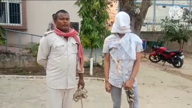 चोरी की बैटरी के साथ वेबसाइट गिरफ्तार।