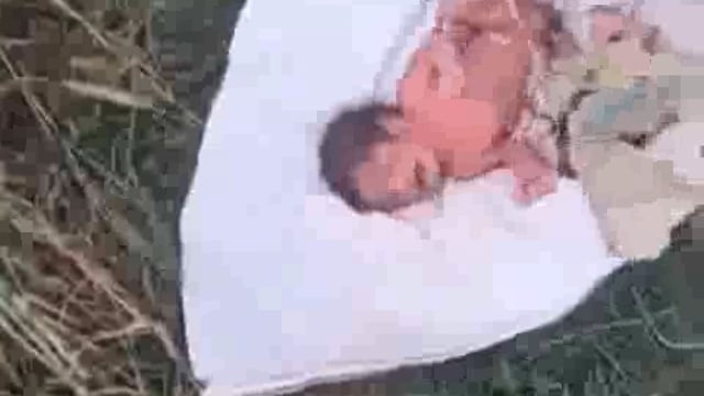 बड़ी खबर अंबेडकर नगर के बसखारी थाना क्षेत्र कौड़ाही गांव से आ रही है जहाँ एक बार मानवता फिर हुई शर्मसार जिस बच्चे को माँ कोख में 9 महीने पालती है उसका हृदय इतना कठोर कैसे हो सकता है
निर्दयी कलयुगी मां-पिता ने नवजात शिशु को झाड़ियों में फेंका।