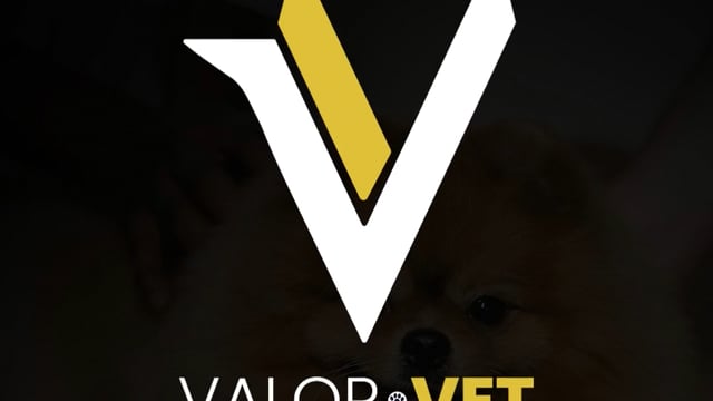 Depoimento Hungária