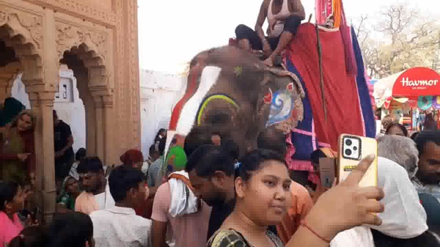 रंगनाथ मंदिर मेला में हाथी की सवारी लोगों द्वारा की गई और उन्होंने रंगनाथ जी के दर्शन हाथी पर बैठकर किए