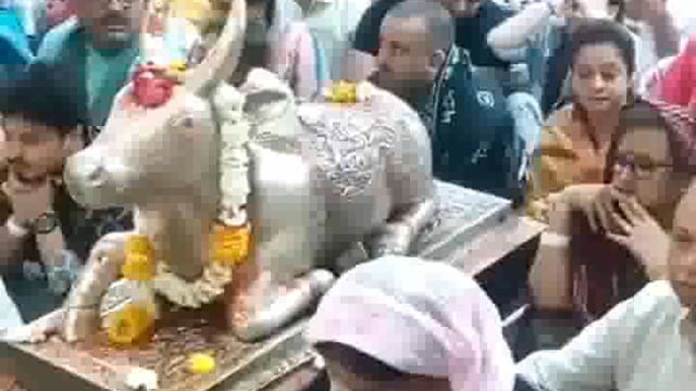 उज्जैन: अभिनेता विंदू दारा सिंह ने बाबा महाकालेश्वर मंदिर में पूजा-अर्चना की #religious