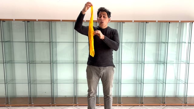 Video Sitta Marconick Triangle Silk