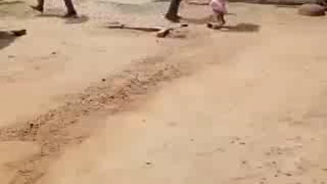 🆚देखिए #यूपी में महिलाओं पर दिखाई जा रही मर्दानगी !
#महराजगंज में दो पक्षों के बीच खूनी संघर्ष का वीडियो वायरल !
लाठी-डंडे, ईंट-पत्थर से महिला और पुरुषों के बीच मारपीट,धड़ाधड़ बरसाई जा रही लाठियां !
पनियरा थाना क्षेत्र का #viralvideo