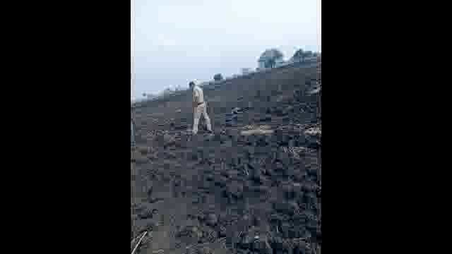 तोगरी शिवारात कुजलेल्या अवस्थेत आढळला मानवी सांगाडा,पोलीस घटनास्थळी दाखल