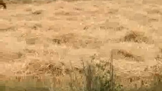 ब्रेकिंग
अम्बेडकरनगर कम्बाइंड मशीन से लगी आग,लगभग चार बीघे की फसल जलकर राख टाण्डा तहसील क्षेत्र के केशवपुर गांव का मामला
तीन किसानों का लगभग चार बीघे फसल हुई जलकर राख,ग्रामीणों ने आग पर पाया काबू