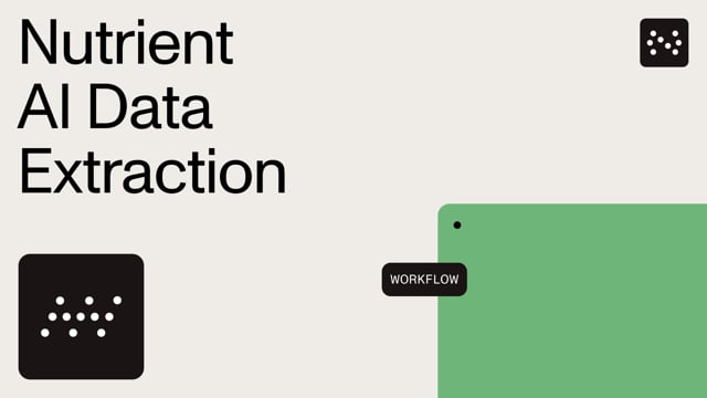 AI Data Extraction Demo