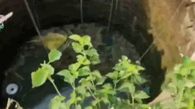 नांदेडच्या आलेगावती ल शिवारात ट्रॅकर विहिरीत कोसळले दहा मजदुर ट्रॉलीत बसले होते त्यापैकी तीन बाहेर आले सात जण आडकले आहेत