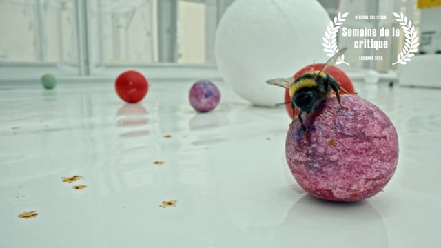 FLYING SCENTS TRAILER  en