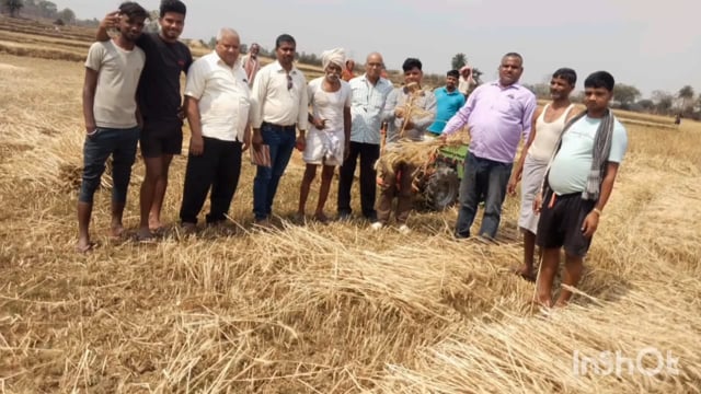 बेलहर के रामनगर में जिला सांख्यिकी पदाधिकारी द्वारा रवि फसल कटनी का किया प्रयोग