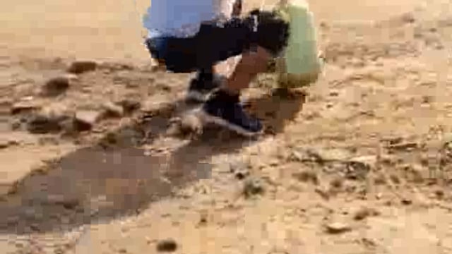 श्योपुर, मध्य प्रदेश: शिकार के बाद छाया में बैठे चीतों के समूह को पानी पिलाने गया ग्रामीण, वीडियो वायरल#viralvideo