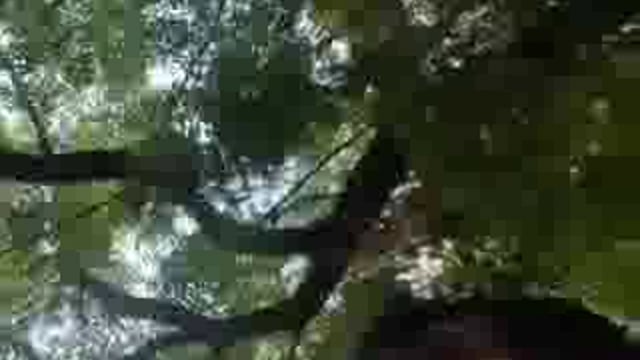 🚨 नोएडा: चौकी इंचार्ज को रिश्वत लेते हुए वीडियो वायरल
📹 वीडियो में चौकी इंचार्ज प्रदीप गौतम को 20,000 रुपये रिश्वत लेते हुए देखा गया
👮‍♀️ CP लक्ष्मी सिंह ने सख्त कार्रवाई करते हुए चौकी इंचार्ज को सस्पेंड और बर्खास्त किया
📝 FIR भी दर्ज की गई, आरोपी ने वीडियो बनाने वाले को फंसाने की कोशिश की
🚔 ज़ीरो टॉलरेंस नीति के तहत कार्रवाई की गई
📍 घटना फेज 1 थाने की गोलचक्कर पुलिस चौकी की है