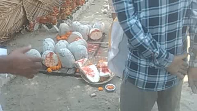 Bali ka program sampann hua