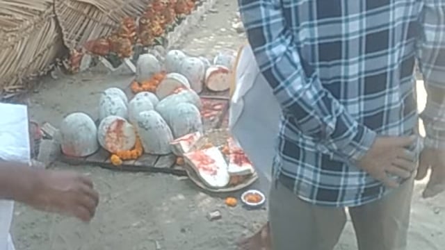 Bali ka program sampann hua