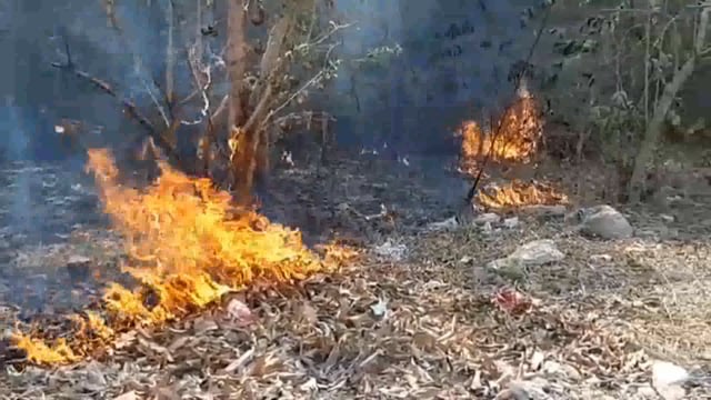 झांसी प्रेमनगर क्षेत्र में रेलवे कॉलोनी की झाड़ियां में भीषण आग लगी रेलवे क्षेत्र में अफरा तफरी मच गई