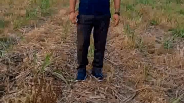 मेरठ कंपनी की खरपतवार नाशक दवाई - TRISKELE 