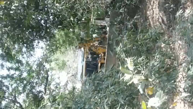 गुरुवार को बूंदा बांदी के साथ पड़े ओले गेहूं की मडा़ई बाधित किसान परेशान 