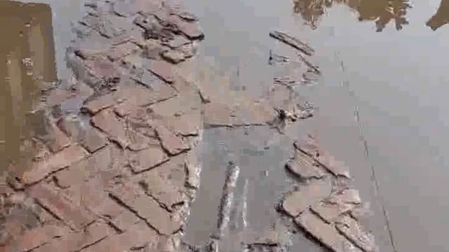 विकास की राह देखता‌ पलिया ब्लाक का गांव इब्राहिमपुरी