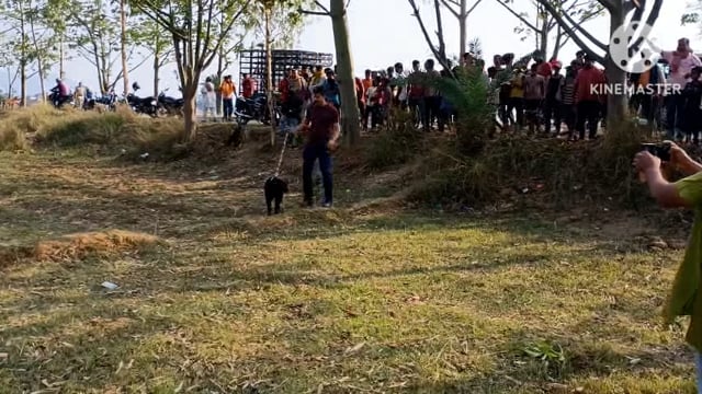 युवक का सिर कटी लाश मिलने के मामले में एसडीपीओ, एफएसएल एवं डॉग स्क्वायड की टीम ने किया जांच।